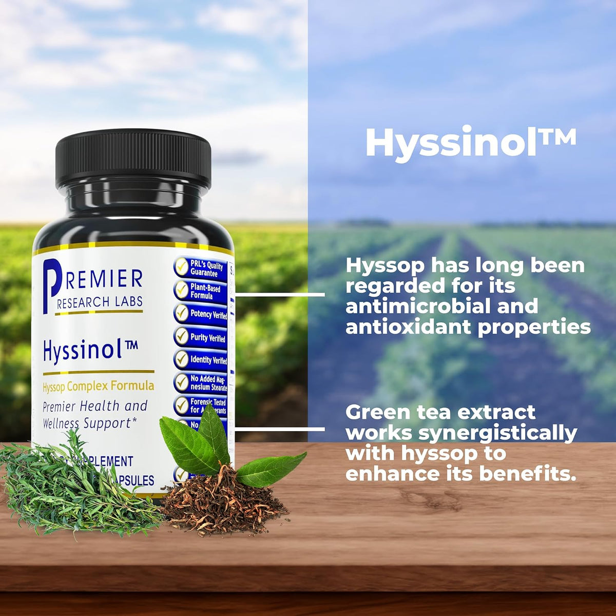 Premier Research Labs Hyssinol - Organic Hyssop Herb with Green Tea Extract, 60 Vegetarian Capsules - görsel 2