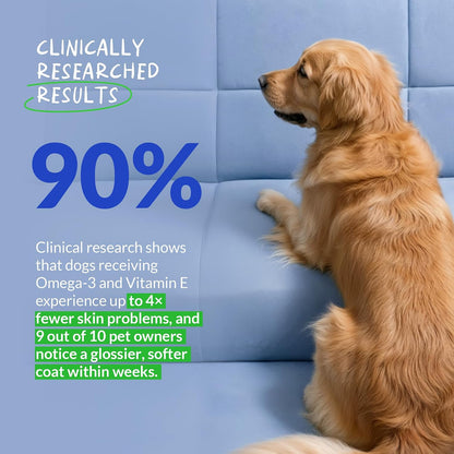 Omega 3 Fish Oil for Dogs - with Omega 3, 6, and 9, Vitamin E for Dog Moulting, Itchy, Dry Skin, Joint & Heart Support (Soft Chews)