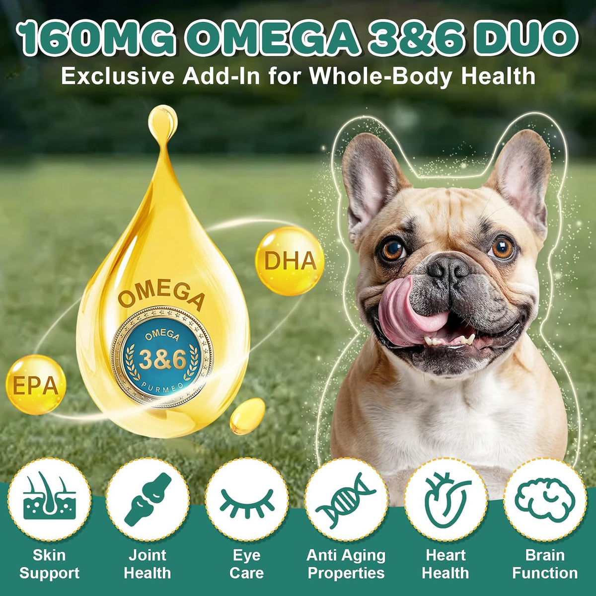 ZEBORA Probiotics for Dogs – 180 Freeze-Dried Chews with 6 Billion CFUs, Digestive Enzymes, Prebiotics, Omega-3 & 6 and Vitamins for Digestive Health and Immune Support - görsel 5