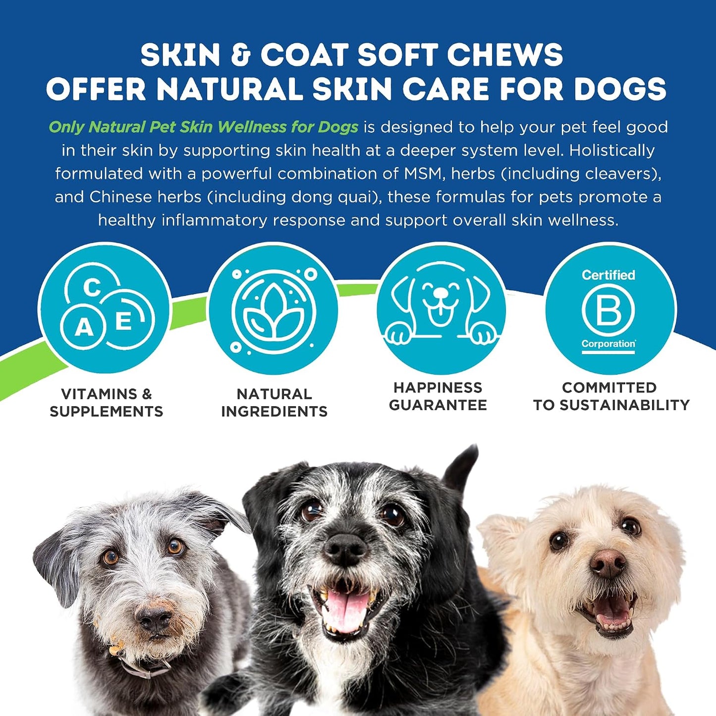Only Natural Pet Skin Wellness Soft Chew 60 Chews - görsel 2