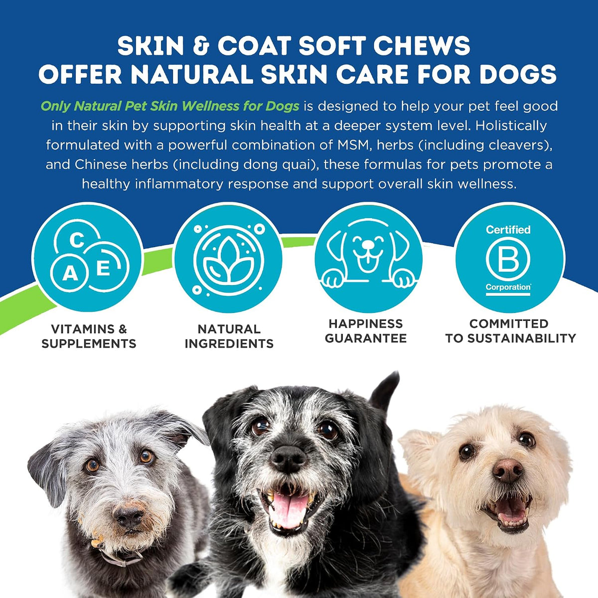 Only Natural Pet Skin Wellness Soft Chew 60 Chews - görsel 2