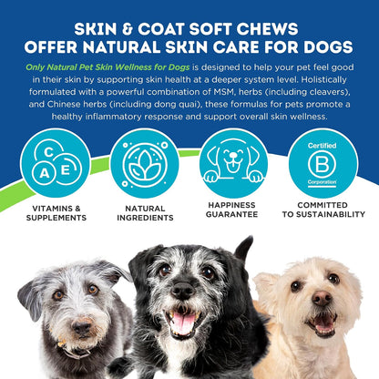 Only Natural Pet Skin Wellness Soft Chew 60 Chews