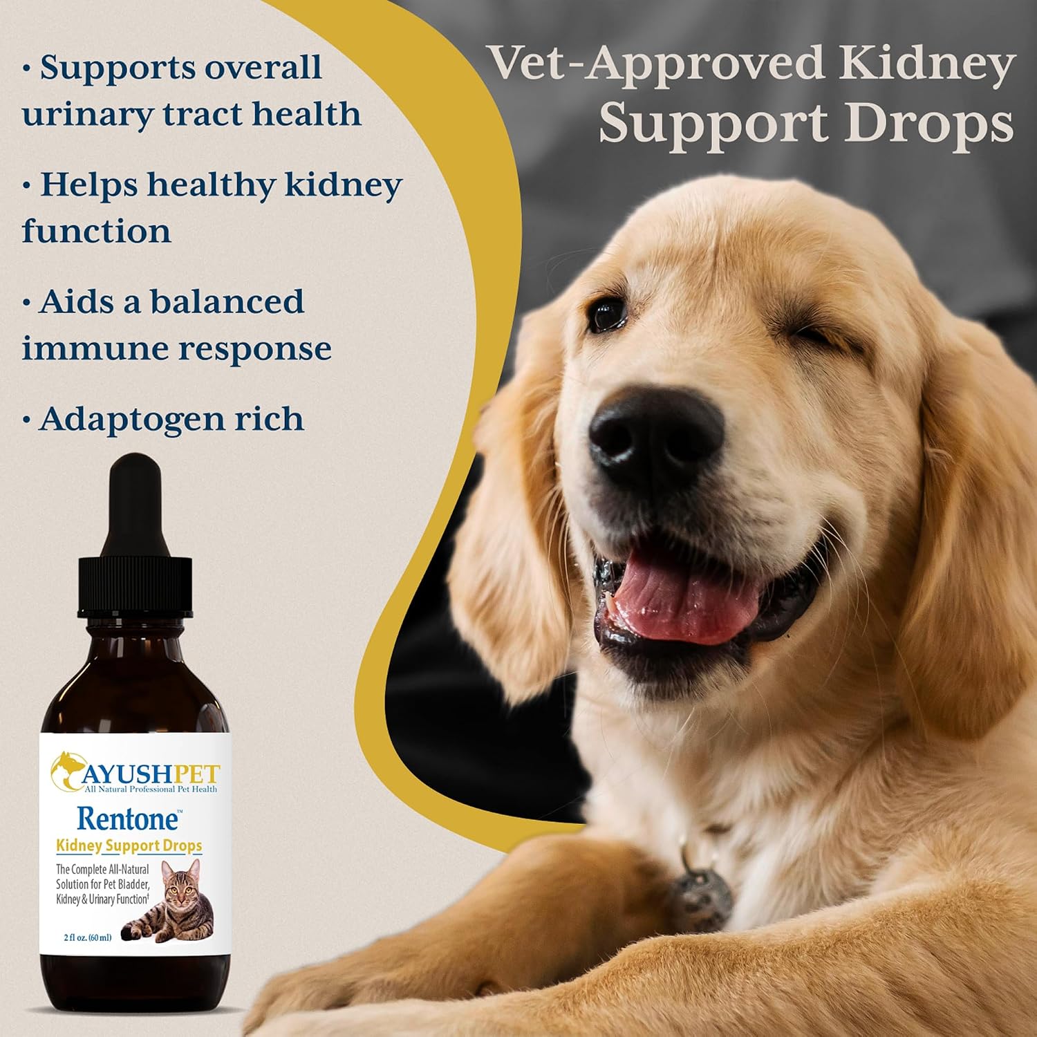 Ayush Pet Rentone Kidney Support for Dogs and Cats, Natural Herbal Drops, 60 ml - görsel 2