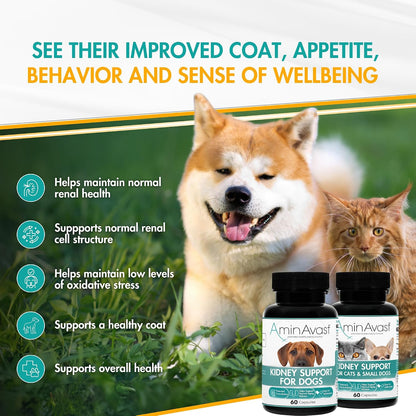 AminAvast Dog Kidney Supplement - Supports Natural Kidney Function - Promotes Health & Vitality of Ageing Kidneys - Pet-Friendly, 1000mg, 60 Capsules