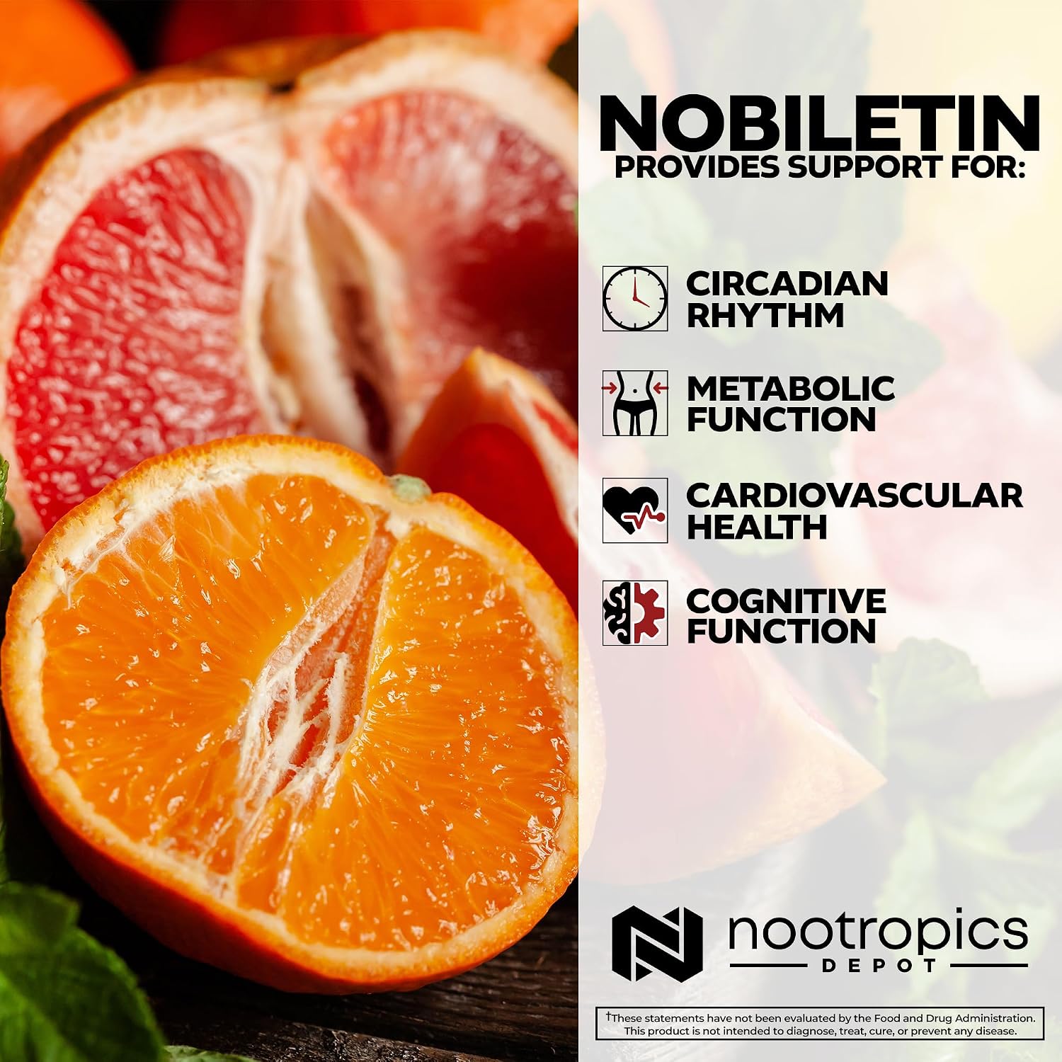 Nootropics Depot Nobiletin Capsules - 250mg (20% Extract) - 30 Count - görsel 4