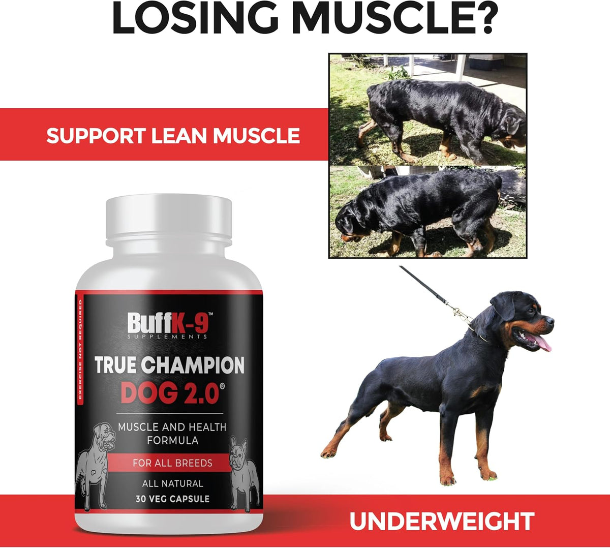 True Champ 2.0 Muscle Support Supplement for Dogs – Canine Wellness Capsules (30 Veg Capsules) - görsel 2