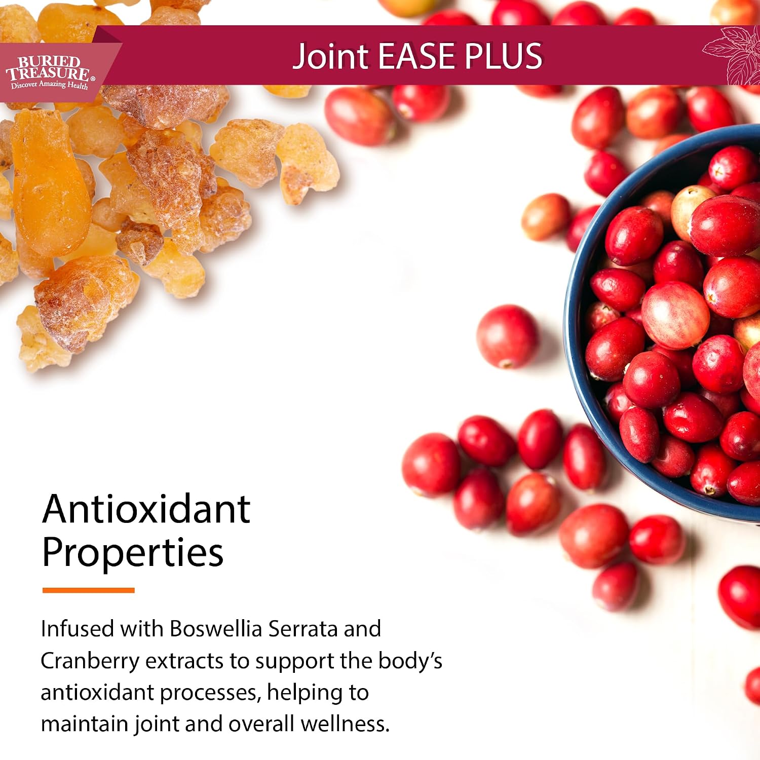 Buried Treasure Joint Ease Plus - 473 ml, Glucosamine Chondroitin with MSM and Turmeric, Joint Support Supplement - görsel 6