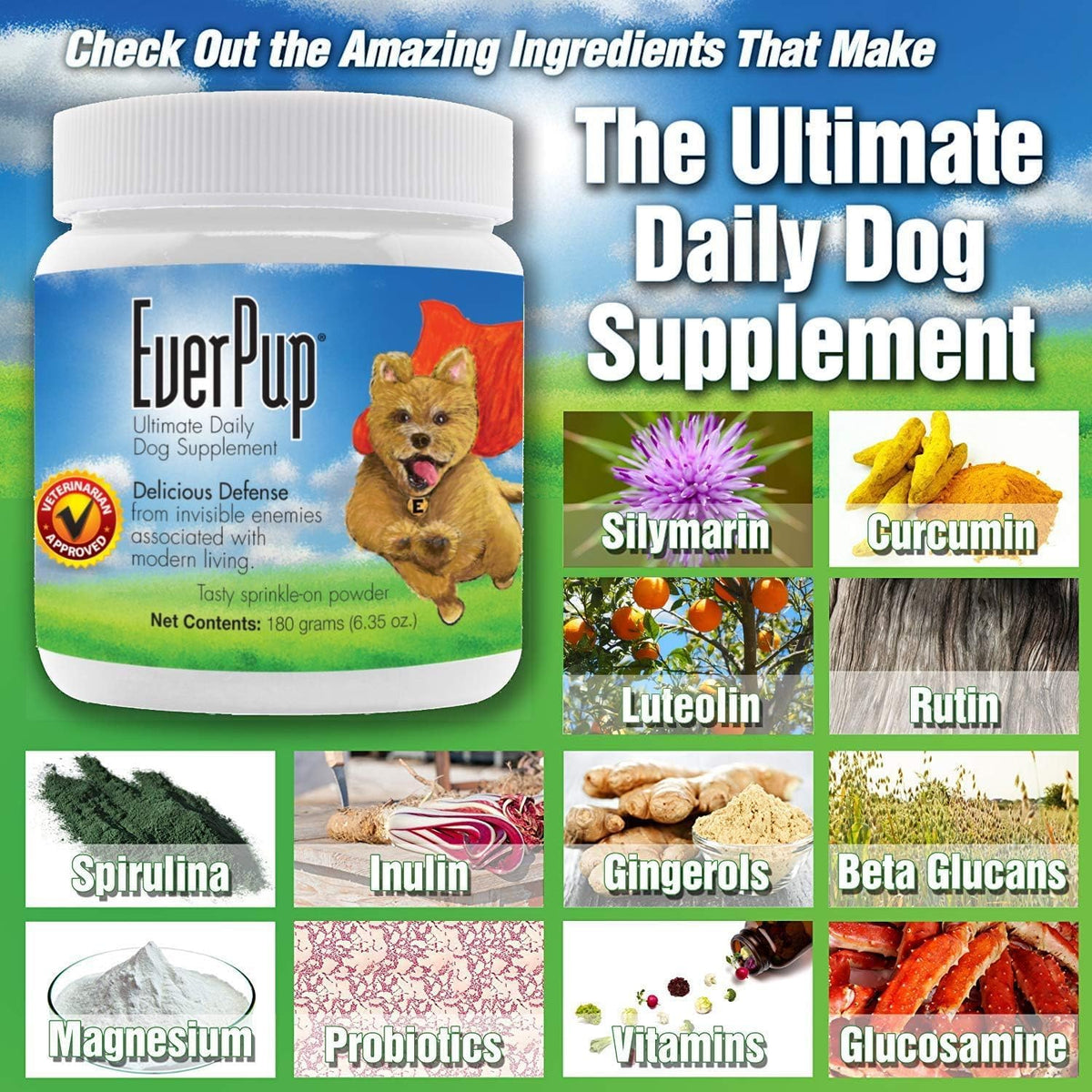 EverPup Dog Supplement – All-in-One Multivitamin with Glucosamine, Probiotics, Antioxidants (1080g) - görsel 3