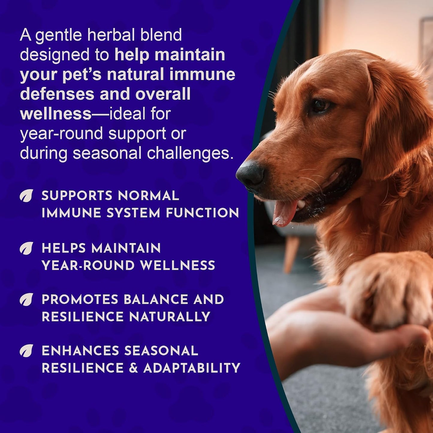 Animal Essentials Super Immune - Dog & Cat Immune Support Supplement (60 ml) - görsel 5