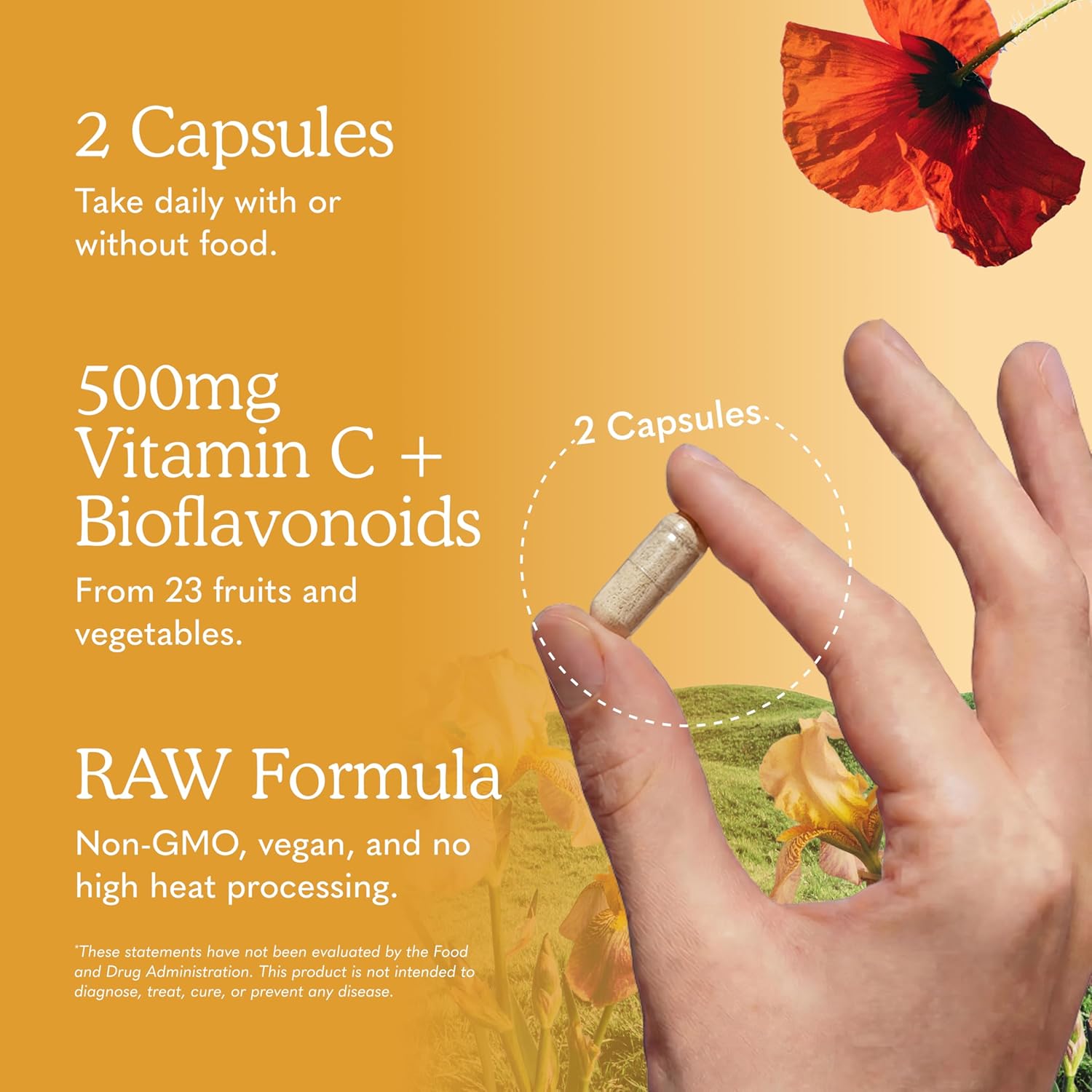 Garden of Life Vitamin Code Raw Vitamin C - 120 Capsules, 500mg Whole Food Vitamin C Capsules + Fruit & Vegetable Blend & Probiotics, Supplements for Adults, Vegan, Gluten-free - görsel 5