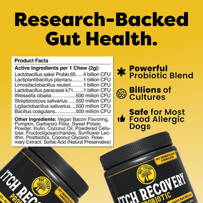 Doc Itchy Itch Recovery Dog Probiotic Chews | L. Sakei & L. Paracasei | Clinical-Strength | 90 Count