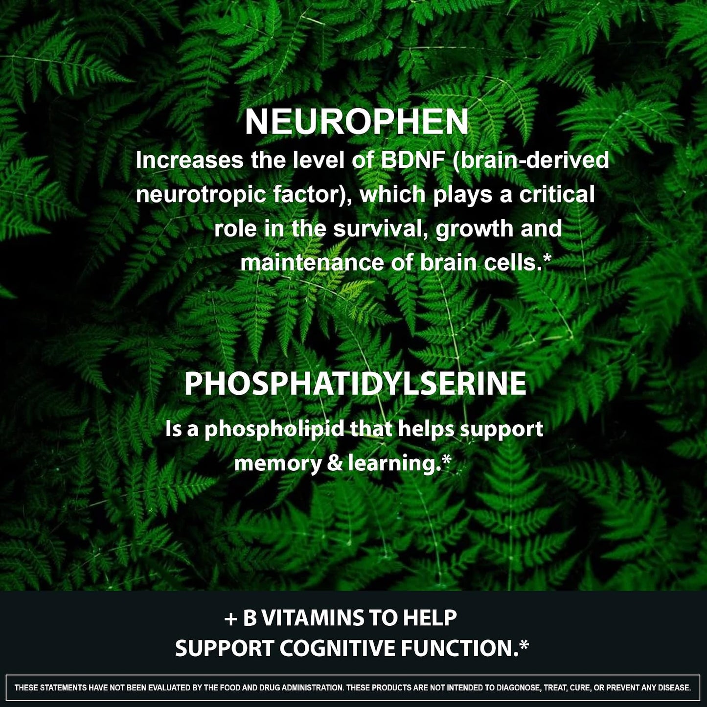 NeuroPhen Nootropics Brain Booster Supplement - Focus, Memory & Clarity Capsules - görsel 6