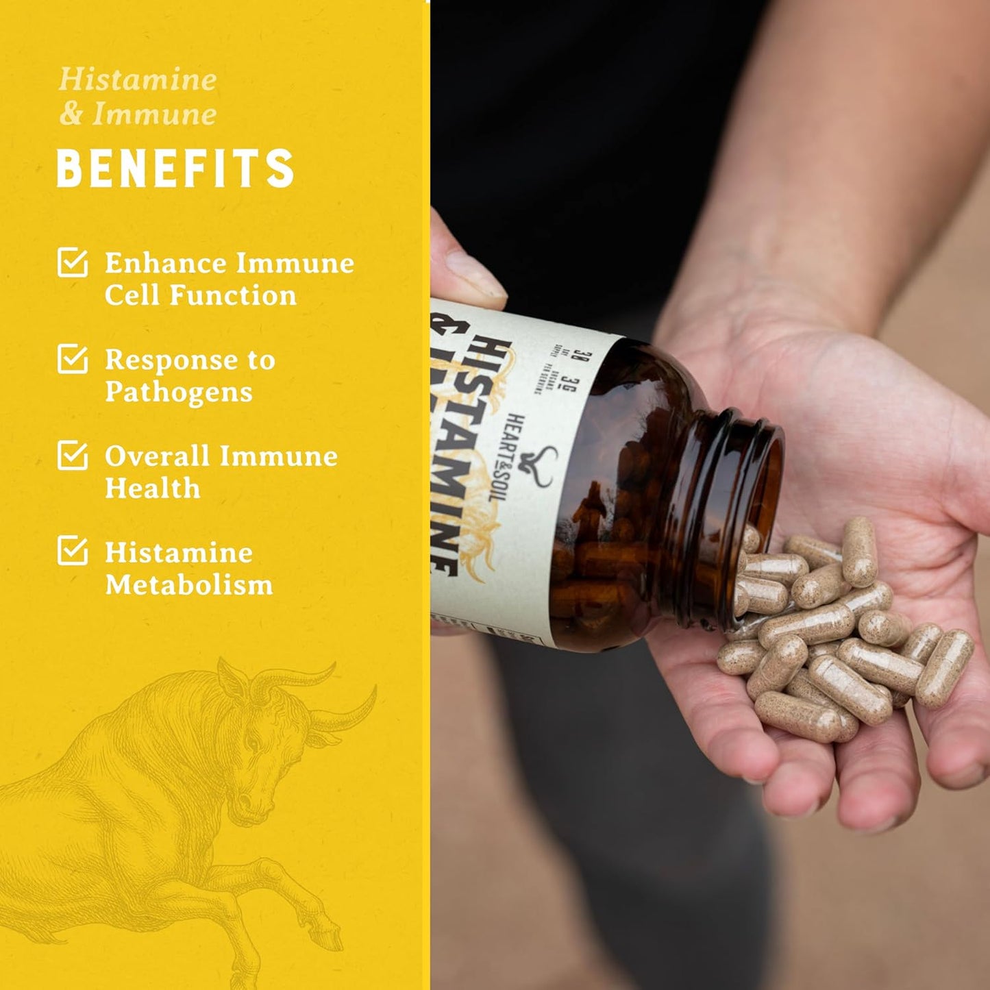 HEART & SOIL – 100% Grass Fed & Finished Histamine & Immune Support Supplement with Thymus, Lung, Spleen, Liver, & Kidney – Immune Defence – Glass Bottle – 180 Capsules - görsel 9