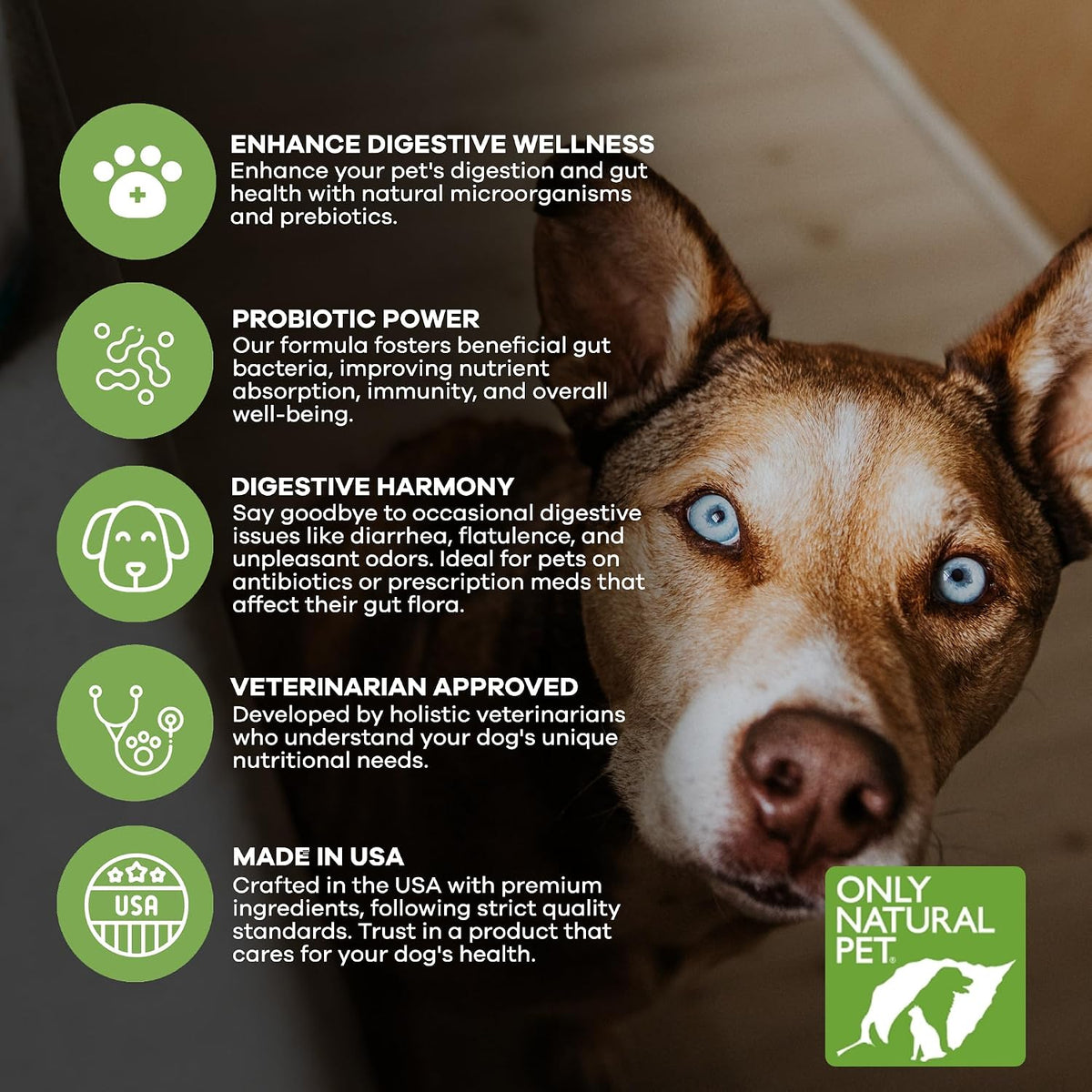 Only Natural Pet Probiotic for Dogs and Cats - Digestive & Intestinal Tract Health - 90 Capsules - görsel 3