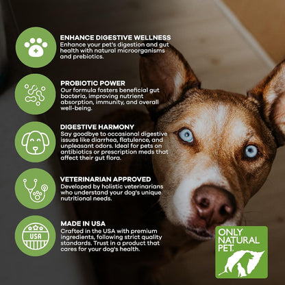 Only Natural Pet Probiotic for Dogs and Cats - Digestive & Intestinal Tract Health - 90 Capsules