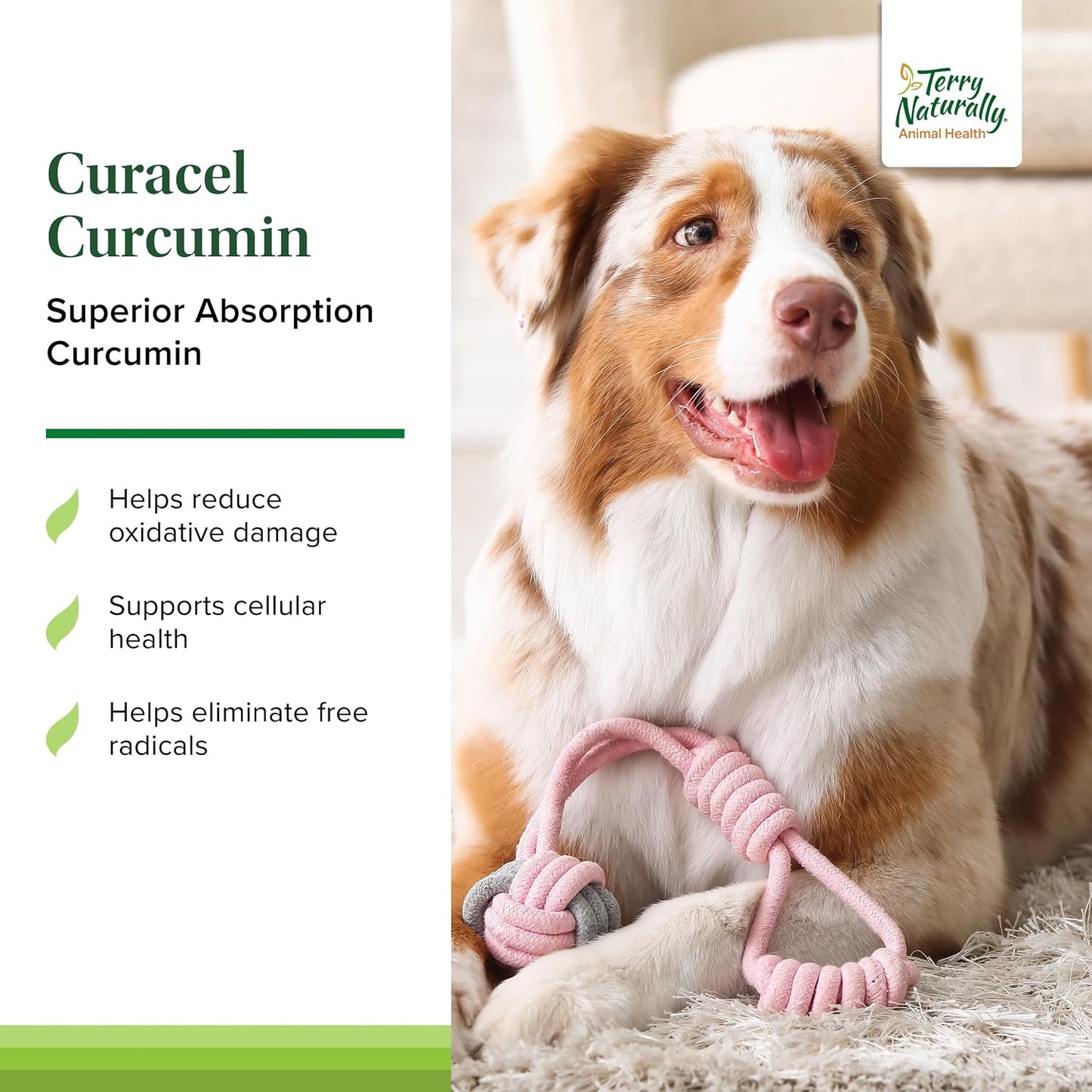 Terry Naturally Curacel Curcumin for Dogs – Cell Protection Supplement with Antioxidants – 60 Softgels - görsel 3