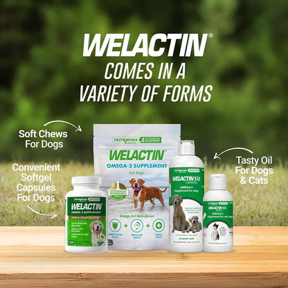 Nutramax Welactin Canine Softgels – Omega 3 Supplement for Dogs (120 count)