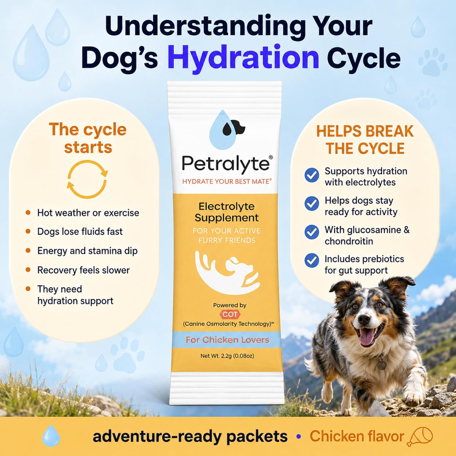Petralyte Dog Electrolytes and Joint Supplement | Hydration Support with Glucosamine, Chondroitin & More | Electrolytes for Dogs with Prebiotics | Chicken Flavour | 16 Packets - görsel 6
