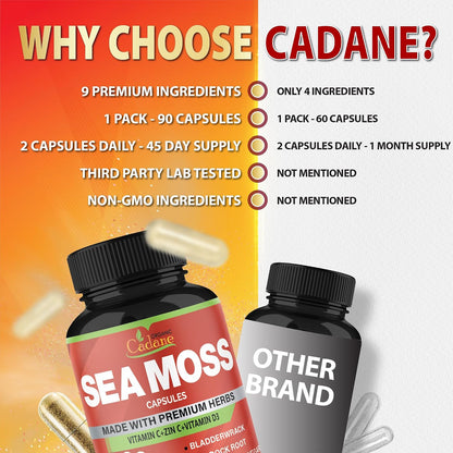 Organic Cadane Irish Sea Moss Extract Capsules – Contributes to Normal Immune Function & General Health – 90 Capsules
