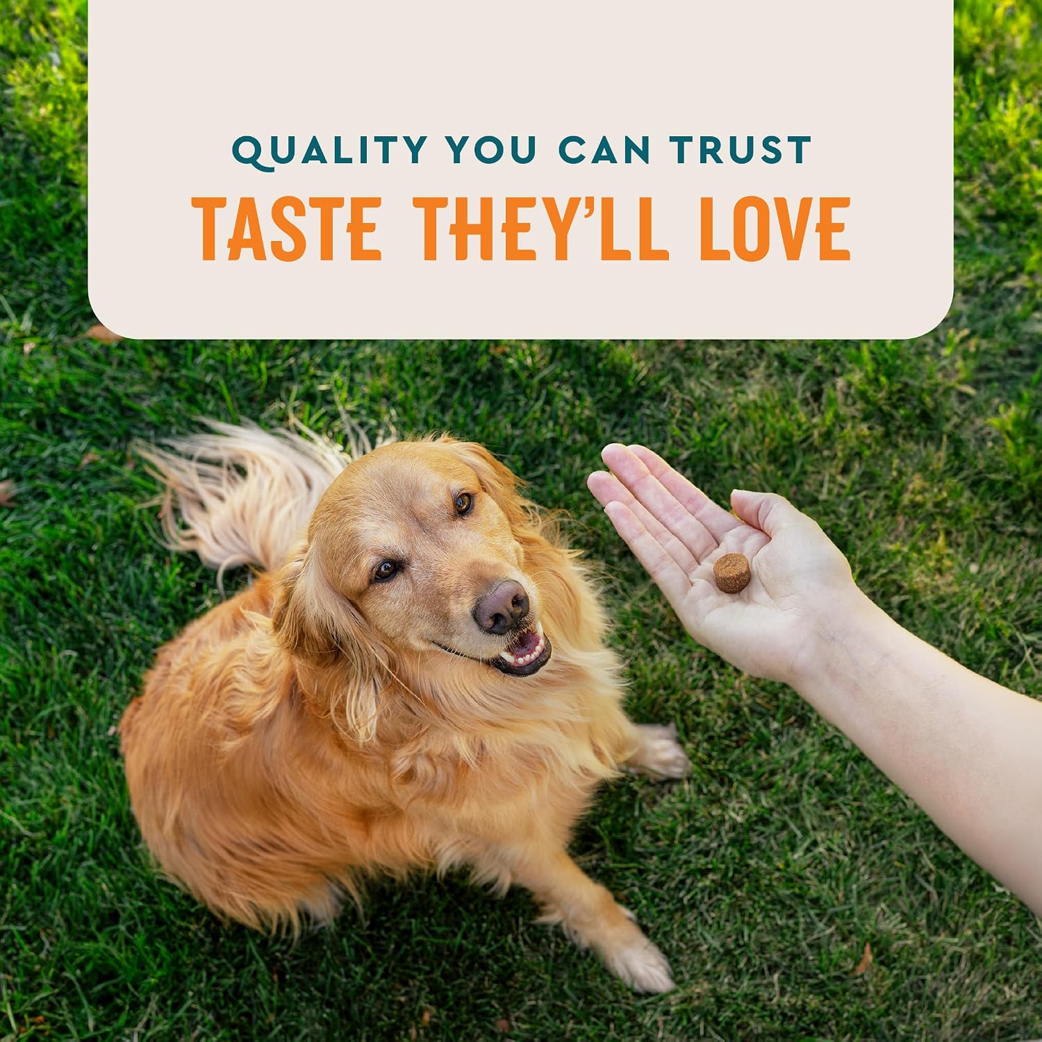 VetIQ Skin and Coat Supplement for Dogs - Omega-3, 6 and 9 - Hickory Smoke Flavour Dog Chews - 60 Count - görsel 5