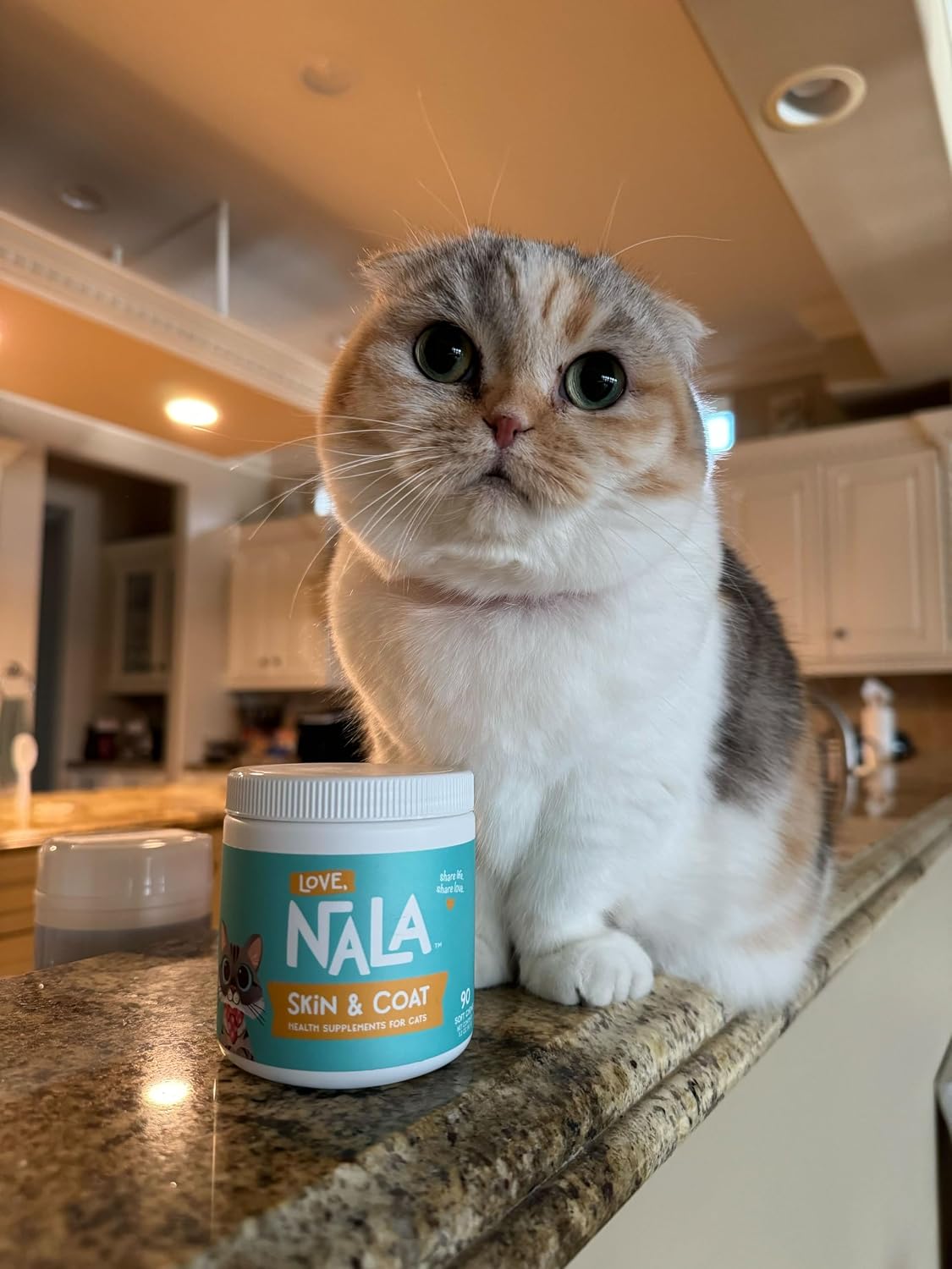 LOVE, NALA Skin and Coat Supplement for Cats – 90 Tasty Soft Chews with Omega-3, Biotin and Vitamin E – Promotes Healthy Skin and Coat - görsel 5