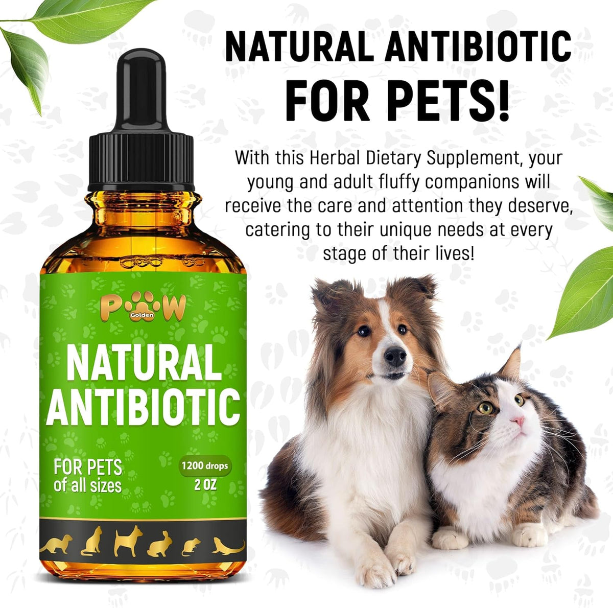 Golden Paw Natural Antibiotics for Dogs and Cats – Organic Liquid Immune Support Drops (60 ml) - görsel 7