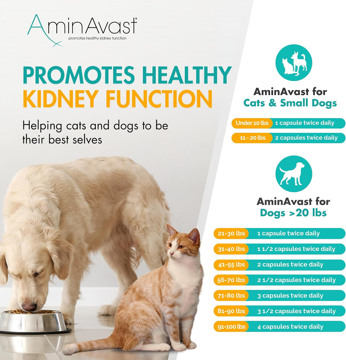 AminAvast Kidney Support Supplement for Cats and Small Dogs – 300 mg Three-Pack (60 Sprinkle Capsules) - görsel 7