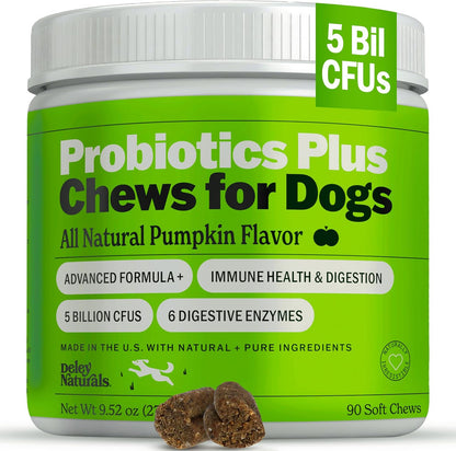 Deley Naturals Probiotics Plus Chews for Dogs - Gut Health Supplement with 5 Billion CFUs and Digestive Enzymes (90 Chews)
