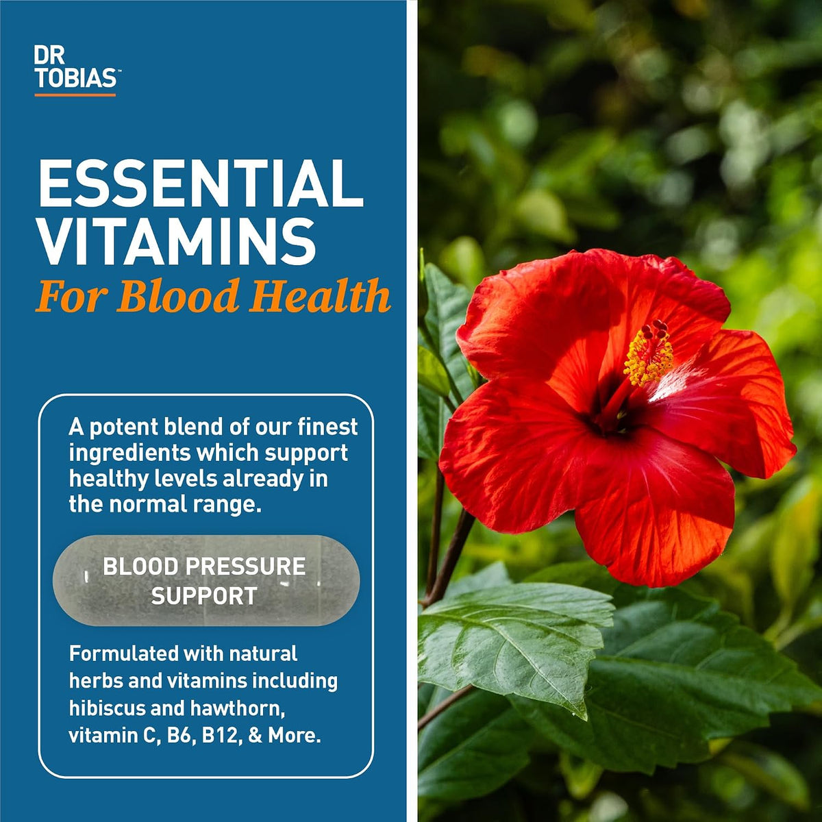 Dr. Tobias Blood Pressure Support – Hawthorn, Hibiscus, Olive Leaf & Garlic – 90 Capsules - görsel 2
