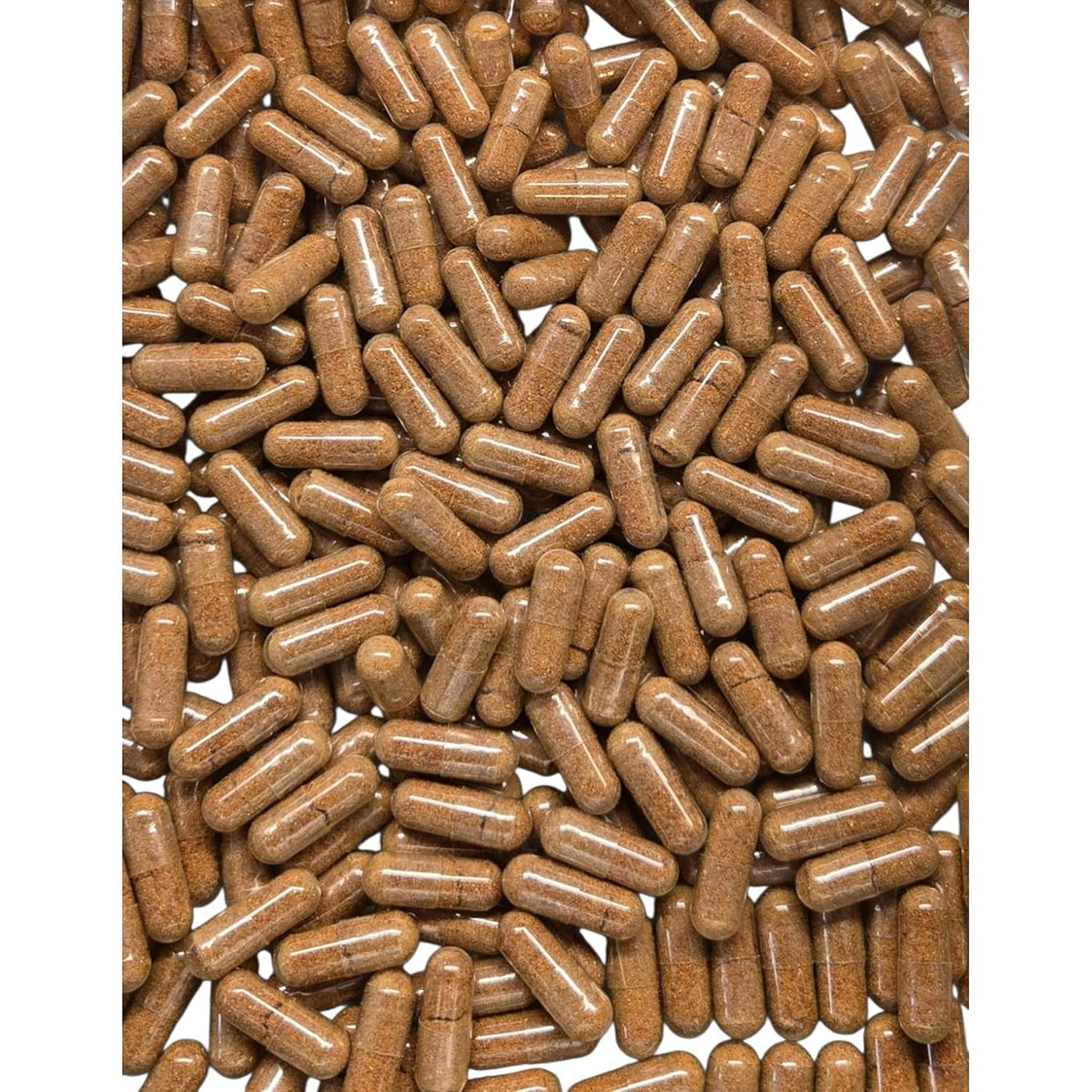 Goji Berry Capsules - Organic - 120 - görsel 3