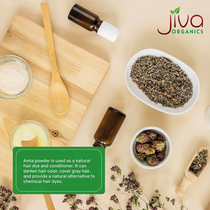 Jiva Organics Organic Amla Powder 567g - Pure, Non-GMO, Gluten-free, Raw Amalaki Powder from India