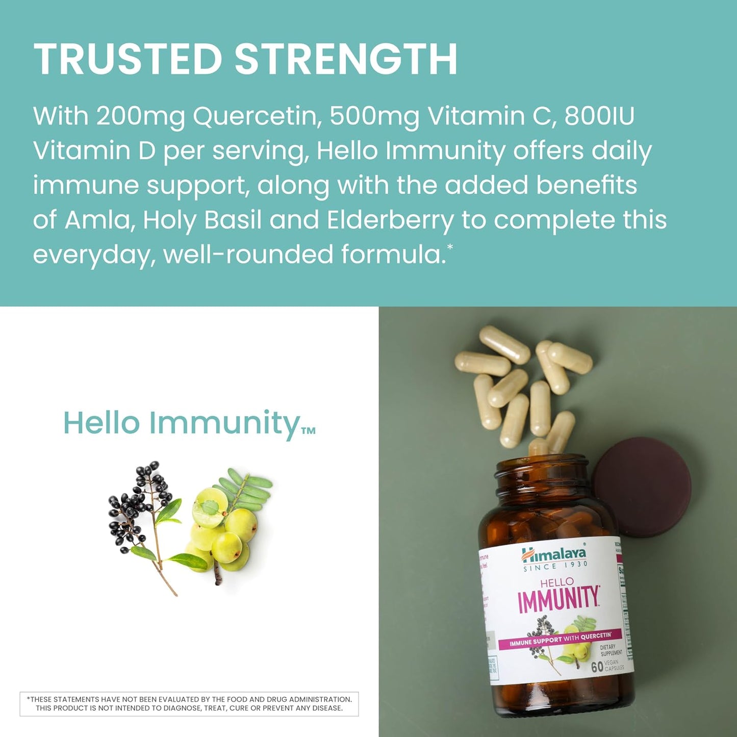 Himalaya Hello Immunity with Quercetin - 500 mg, 60 Caplets - görsel 6