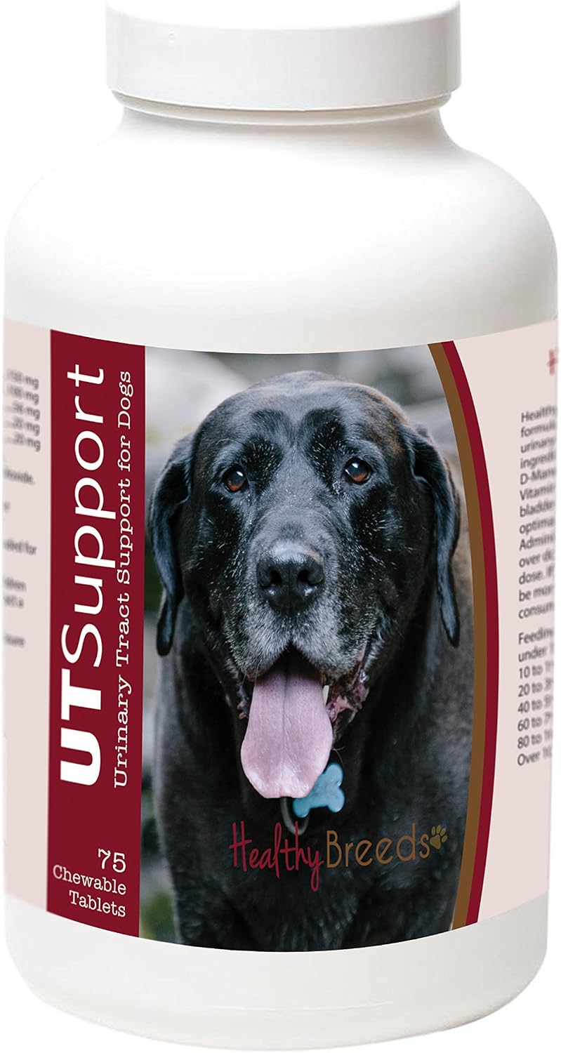 Healthy Breeds Mastador Cranberry Chewables – Urinary Tract Support for Dogs (75 Count) - görsel 1