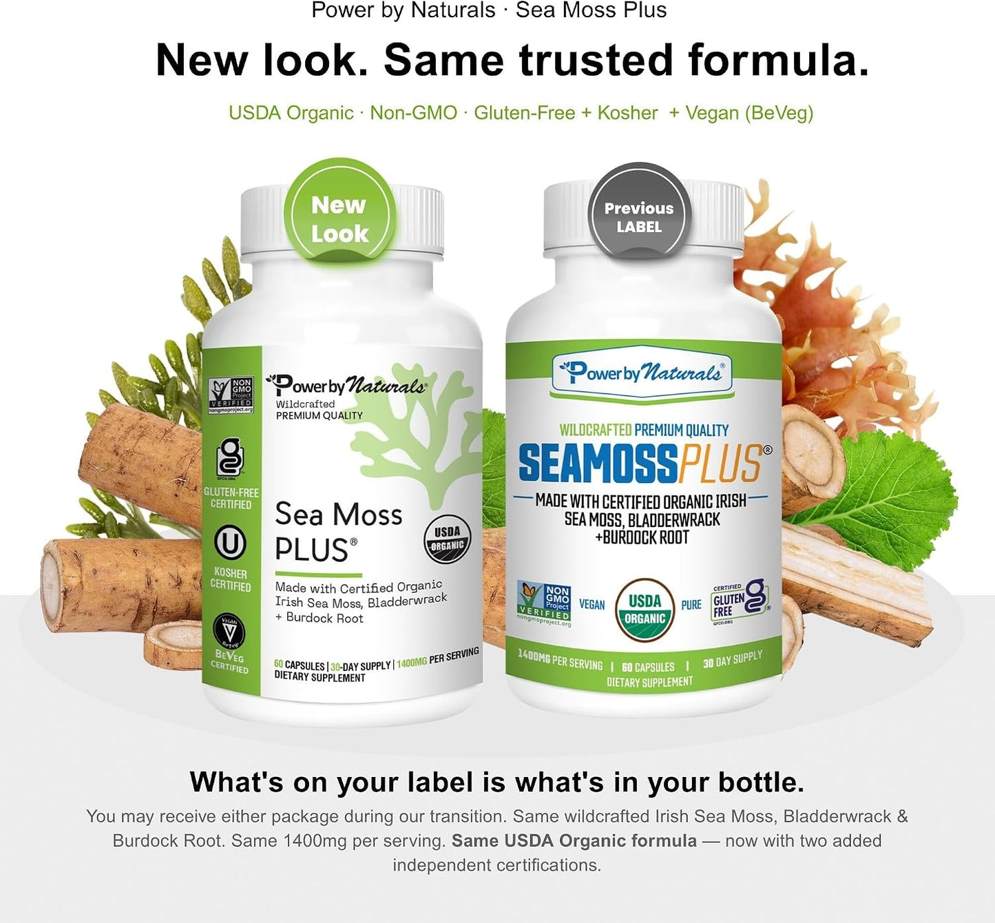 Power By Naturals Sea Moss Plus – Organic Irish Sea Moss, Bladderwrack & Burdock Root – 120 Capsules (2-Pack) - görsel 3