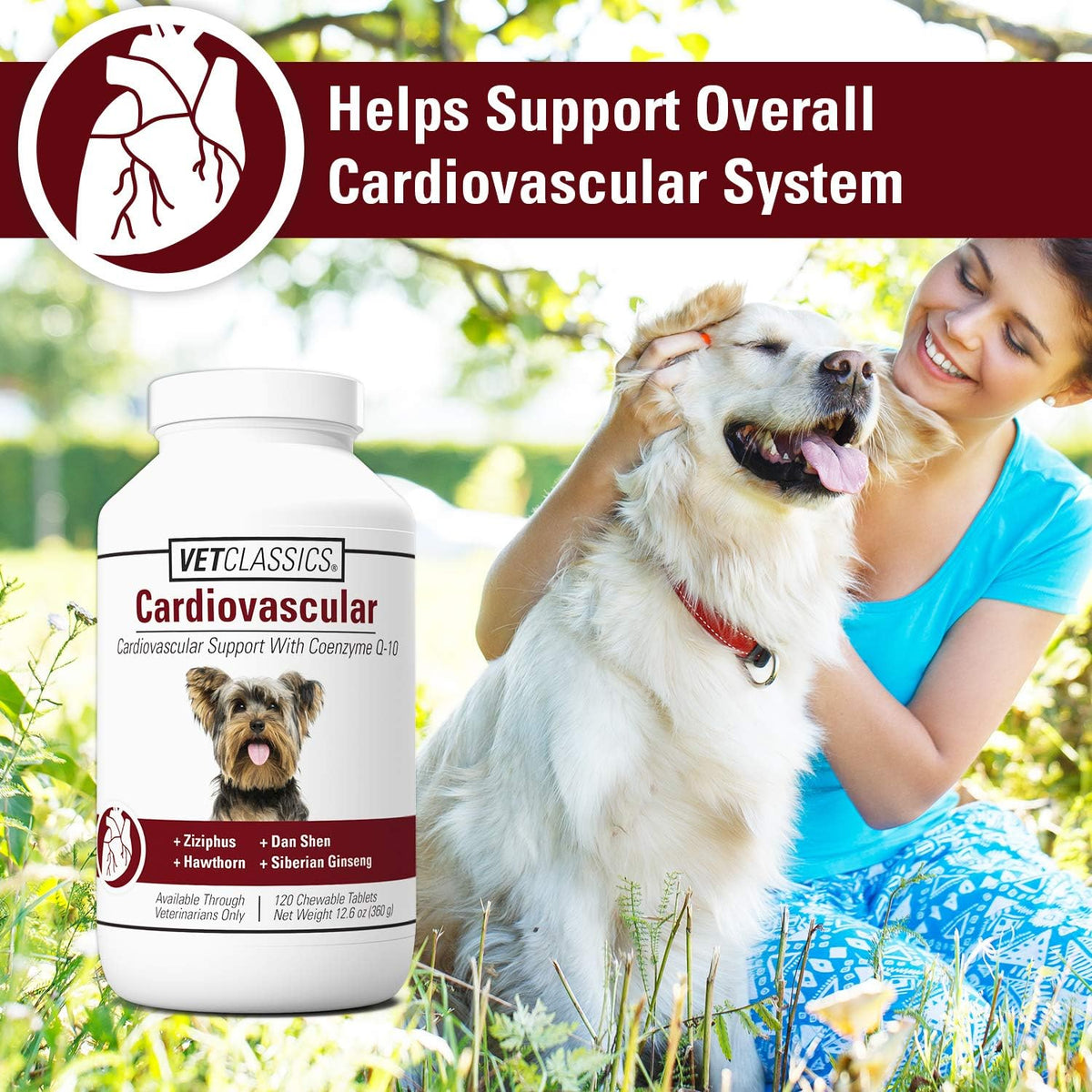 Vet Classics Cardiovascular Support Coenzyme Q-10 Dog Supplement – Chewable Tablets (120 Ct) - görsel 3