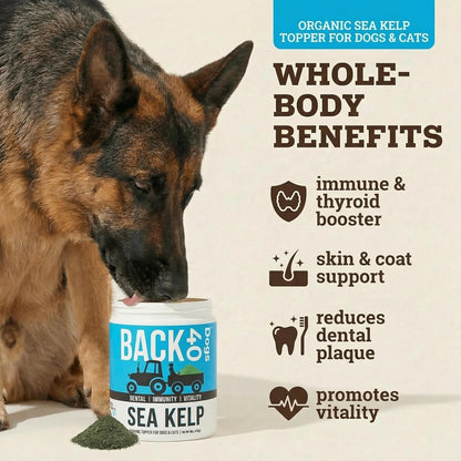 Organic Kelp Powder for Dogs, Dried Sea Kelp Supplement for Normal Thyroid Function, Dental Hygiene, Immune Support, Digestion, Skin & Coat – Iodine Rich – Multivitamin for Cats & Dogs – Made in the USA