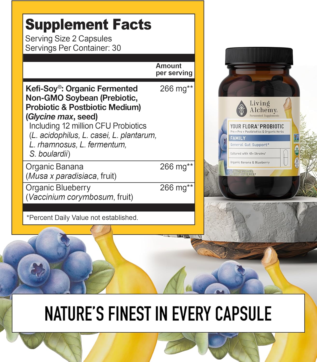 Your Flora Probiotic Family – Non-GM Probiotics with Fermented Soybean, Banana, and Blueberry for Digestive Health & Gut Wellness – Prebiotics, Postbiotics, Digestive Enzymes – Living Alchemy, 60 Capsules - görsel 5