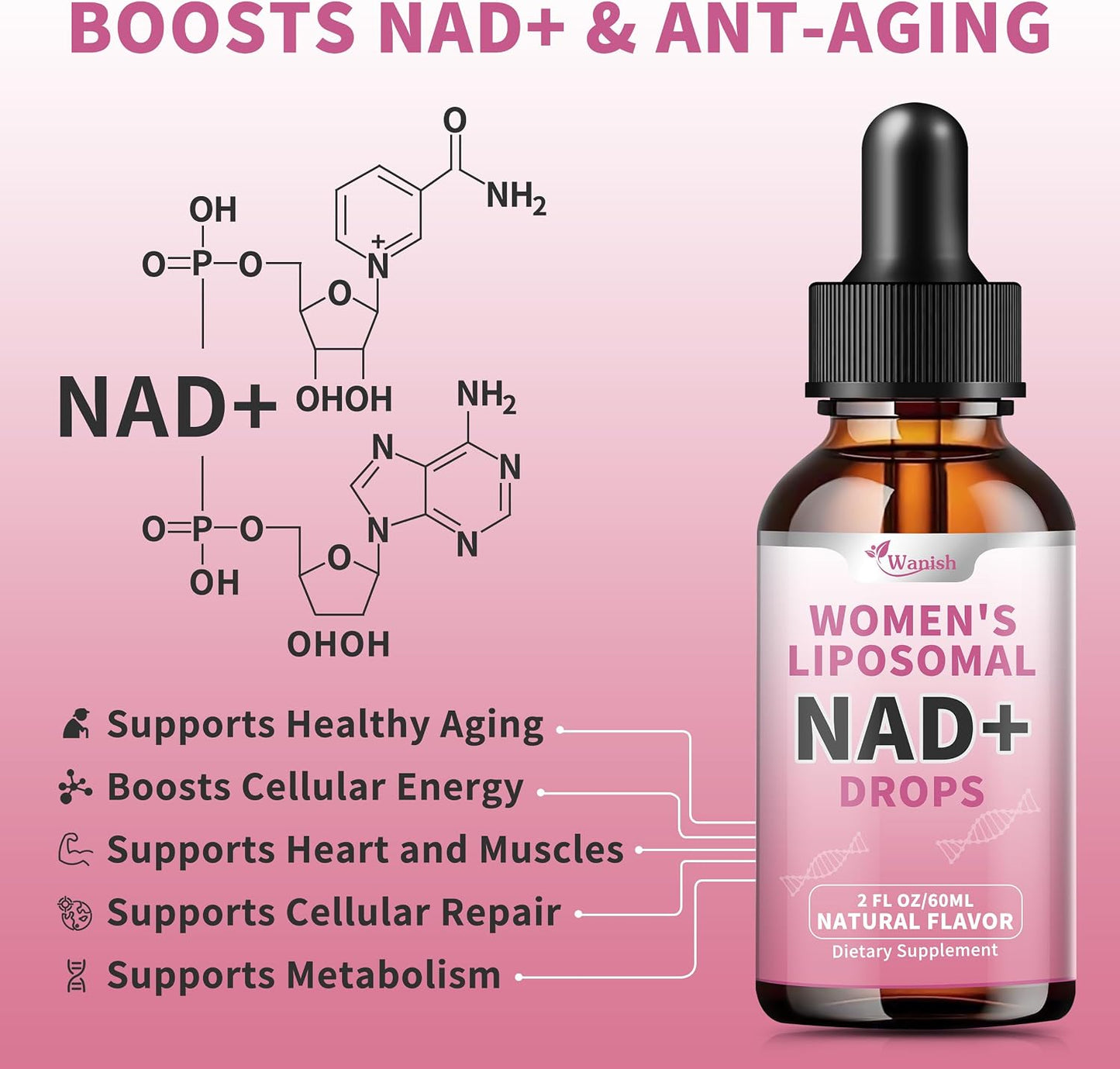 Wanish Liposomal NAD Liquid Supplement – 500 mg NAD Nicotinamide for Energy and Cell Regeneration, Vegan, Sugar-free, 60 ml - görsel 2