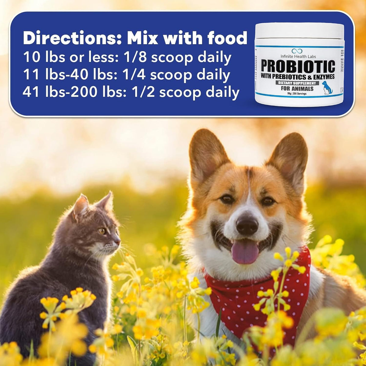 Probiotics for Dogs and Cats – Vet Formulated Prebiotic & Enzyme Powder – 200 Servings (50 g) - görsel 6