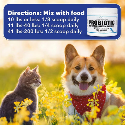 Probiotics for Dogs and Cats – Vet Formulated Prebiotic & Enzyme Powder – 200 Servings (50 g)