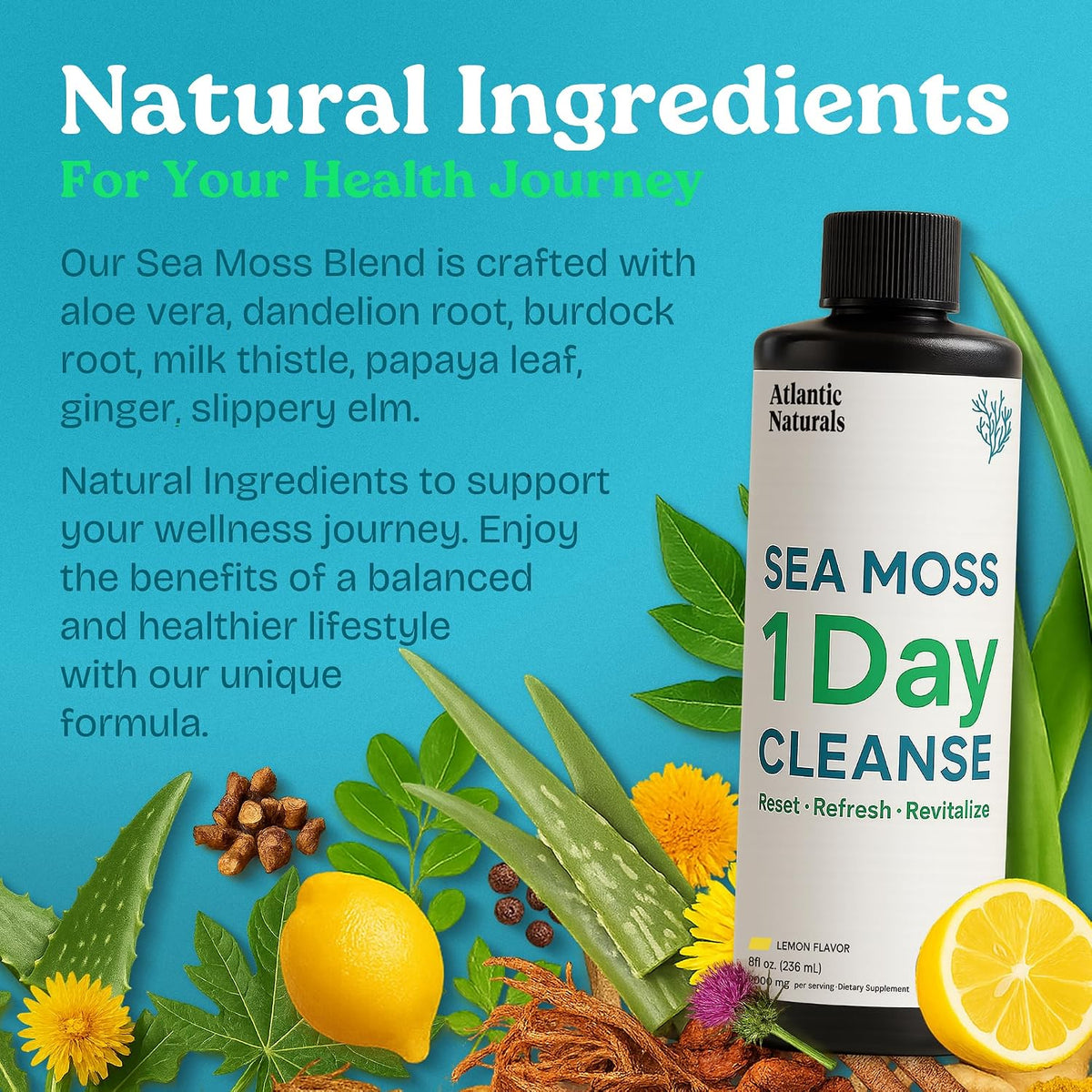 Atlantic Naturals 1 Day Colon Cleanse Detox Drink – Sea Moss Supplement, Gut Health, Lemon Flavour, 237 ml - görsel 6