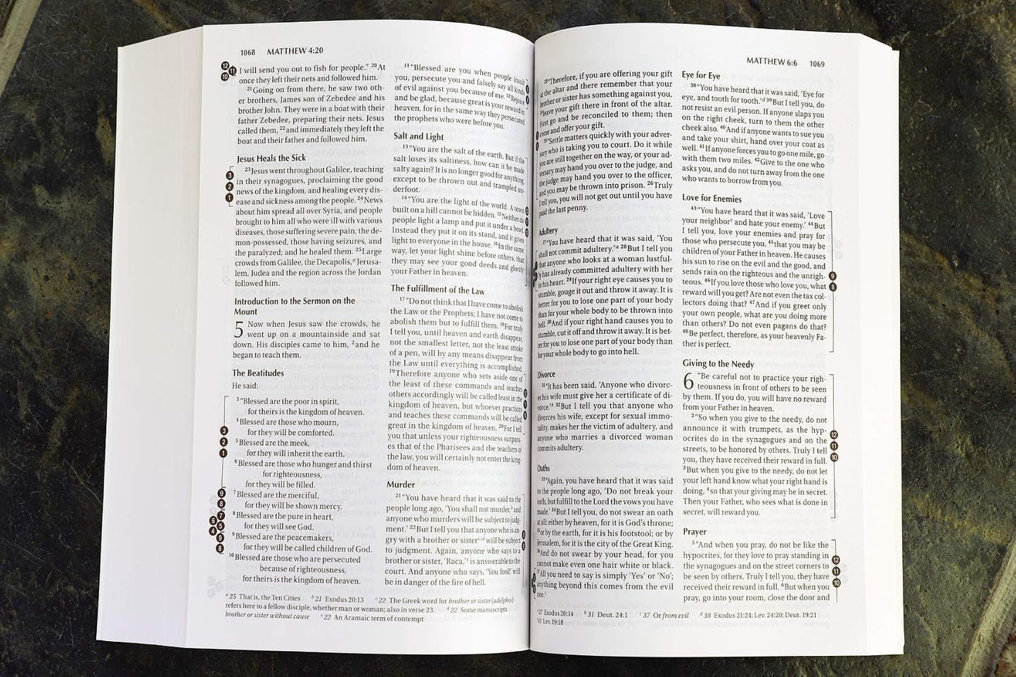 NIV, Recovery Devotional Bible, Paperback - görsel 9