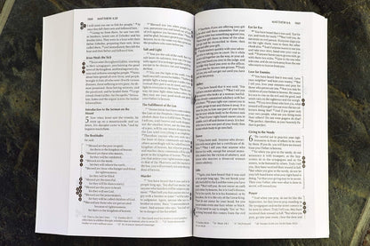 NIV, Recovery Devotional Bible, Paperback