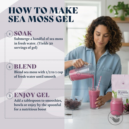 Organic Purple Sea Moss Raw - Makes 2.1 L of Sea Moss Gel, Rich in Phytonutrients & Minerals, Certified Non-GMO, Wildcrafted Superfood - 100 g Bag