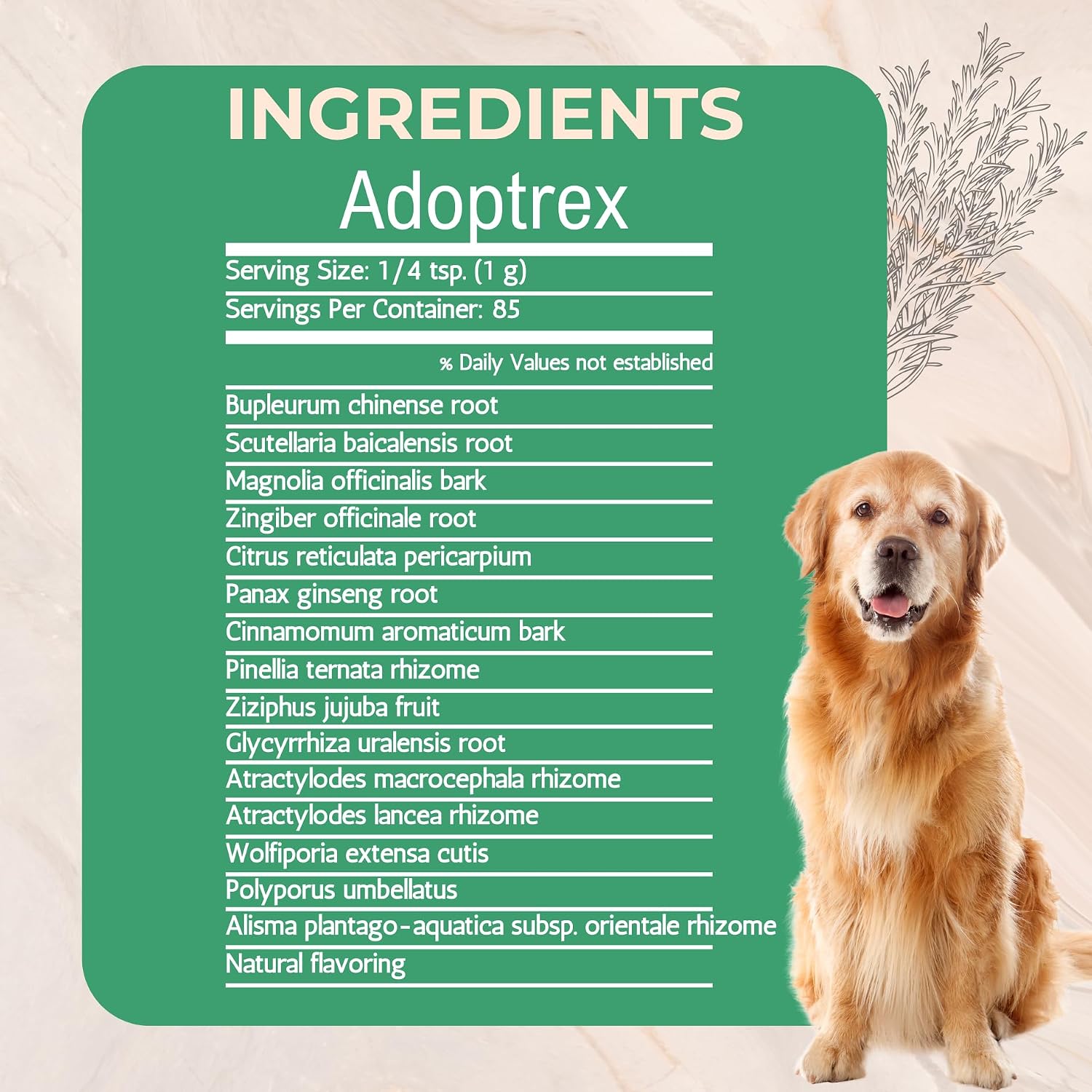 Adoptrex Gut and Pancreatic Function Support Supplement for Dogs – All Natural Magnolia and Ginger Combination Powder (85 grams) - görsel 3