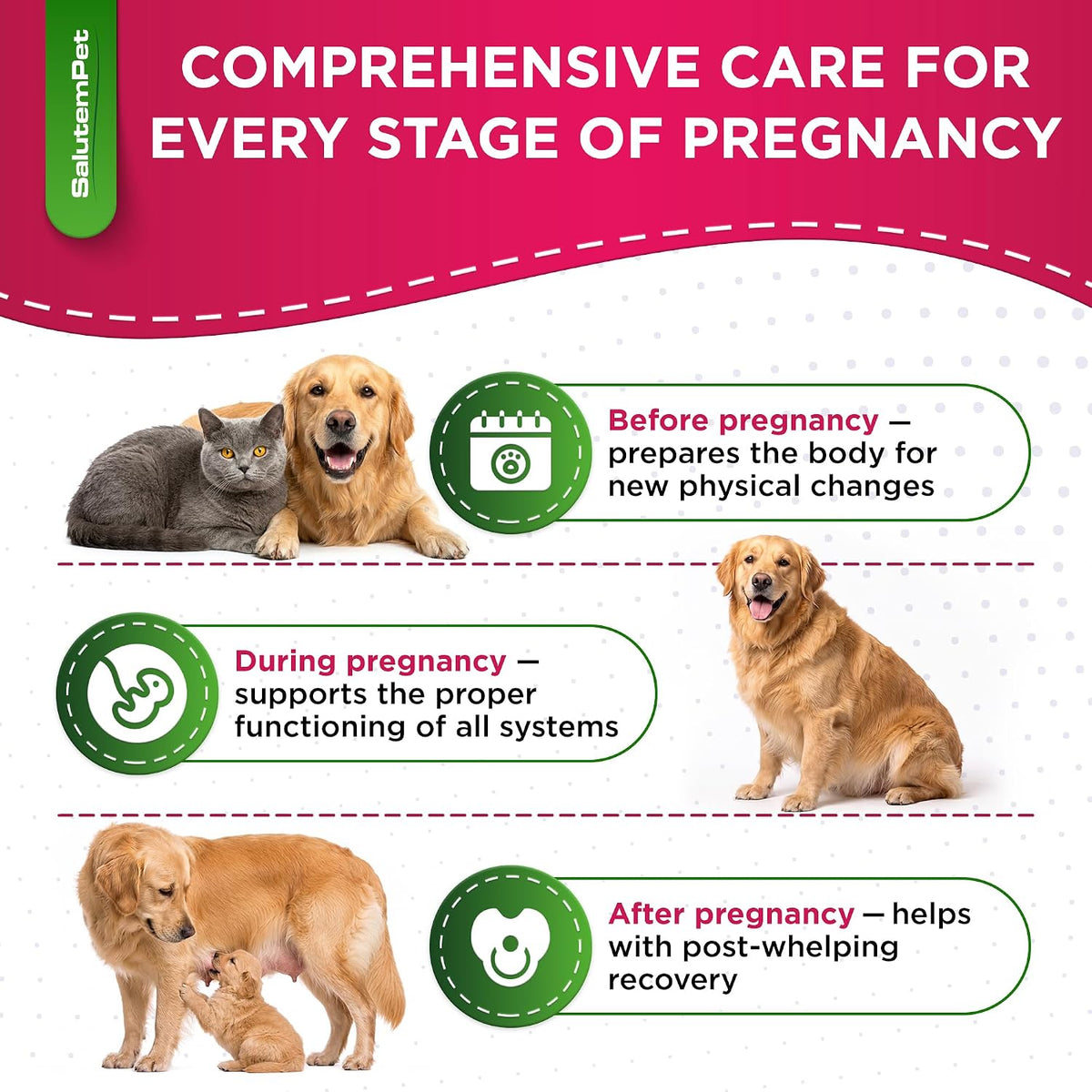 SalutemPet Dog Prenatal Vitamins – Liquid Multivitamin for Pregnant & Lactating Dogs & Cats – All Breeds – 2 fl oz (60 ml) - görsel 6