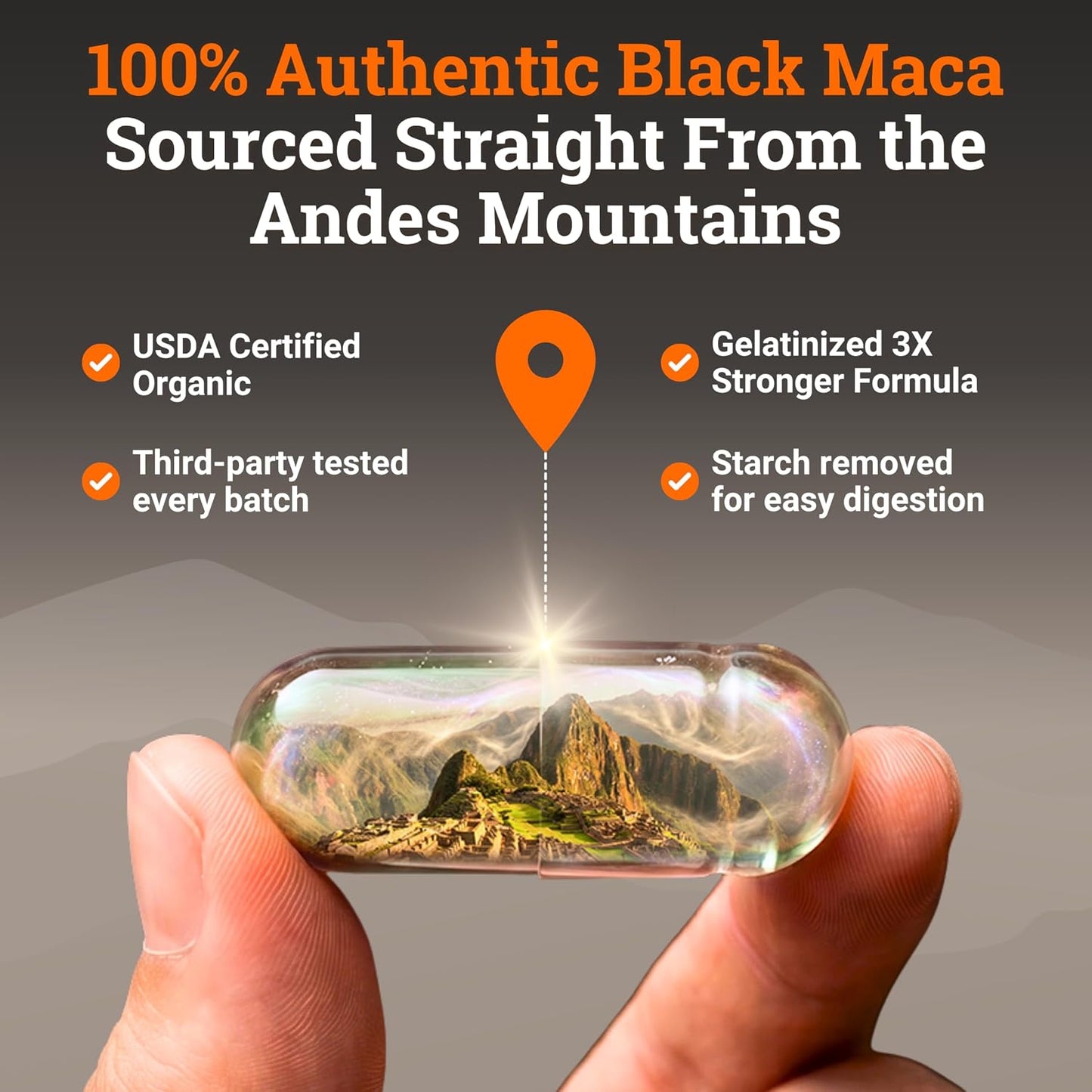 Organic Gelatinised Black Maca – 4x Bioavailability, 200 Vegan Capsules (1000mg) - görsel 5
