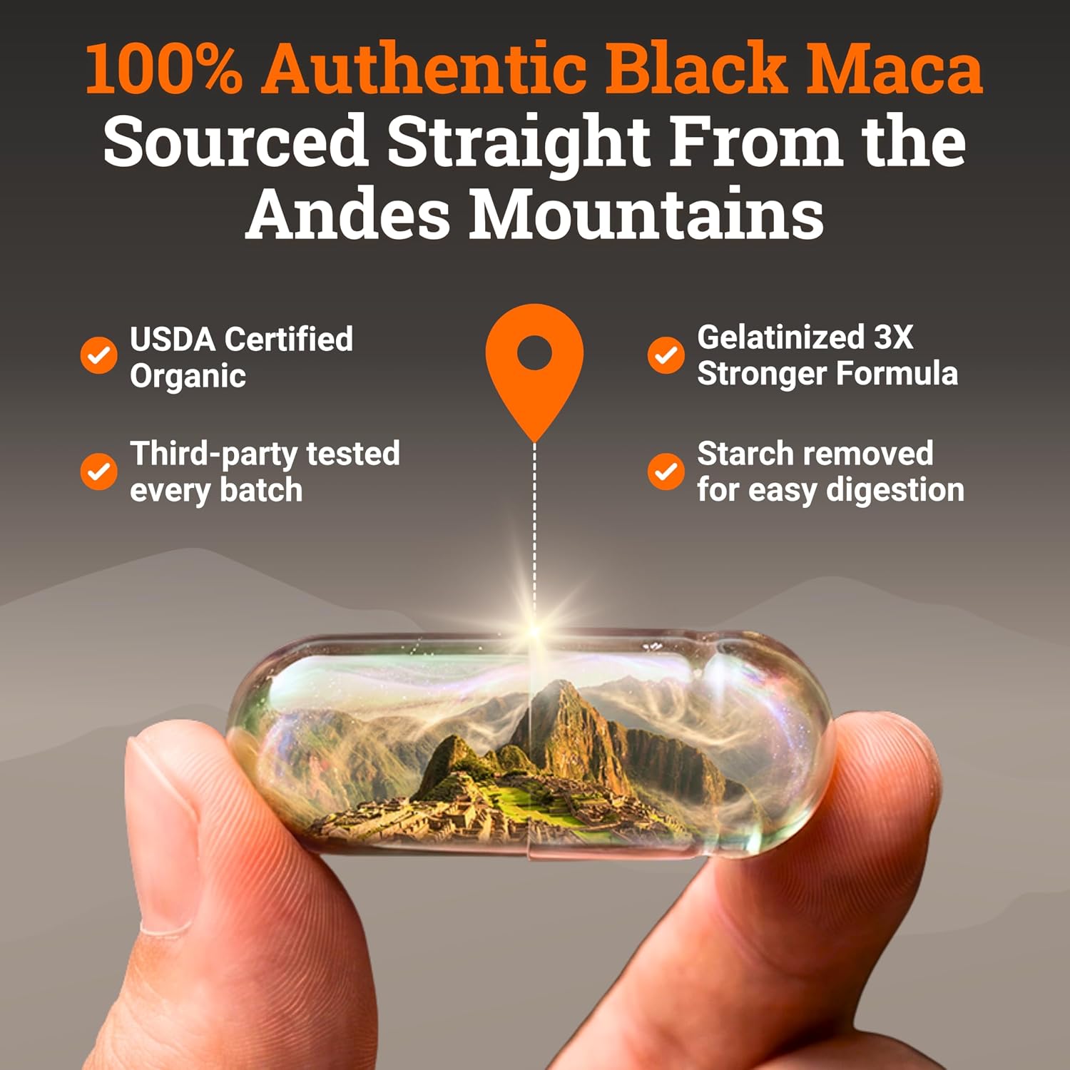 Organic Gelatinised Black Maca – 4x Bioavailability, 200 Vegan Capsules (1000mg) - görsel 5