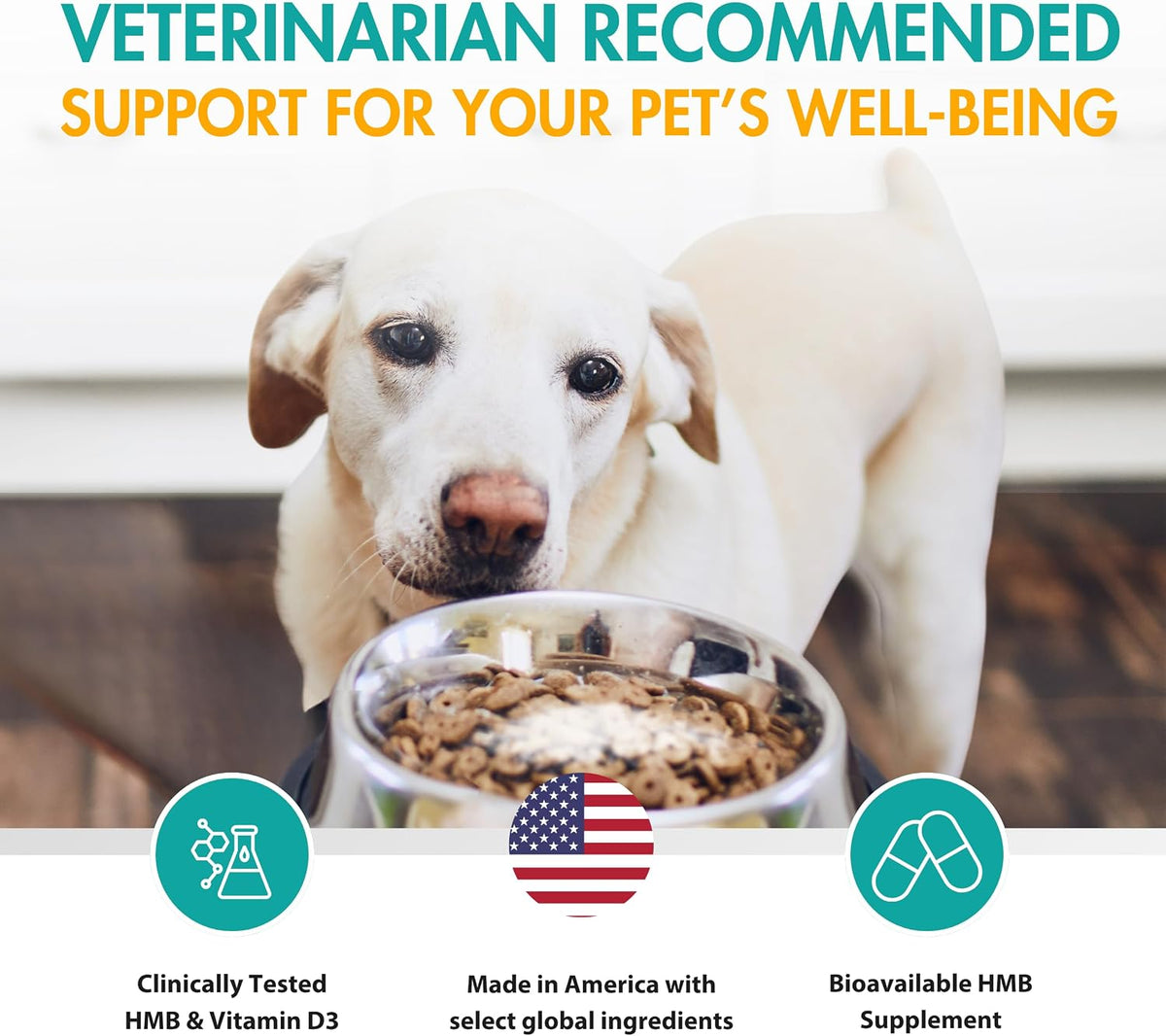 AminAmend Dog Muscle Supplement for Large Breeds – CaHMB & Vitamin D3 (30 Capsules) – Image 4