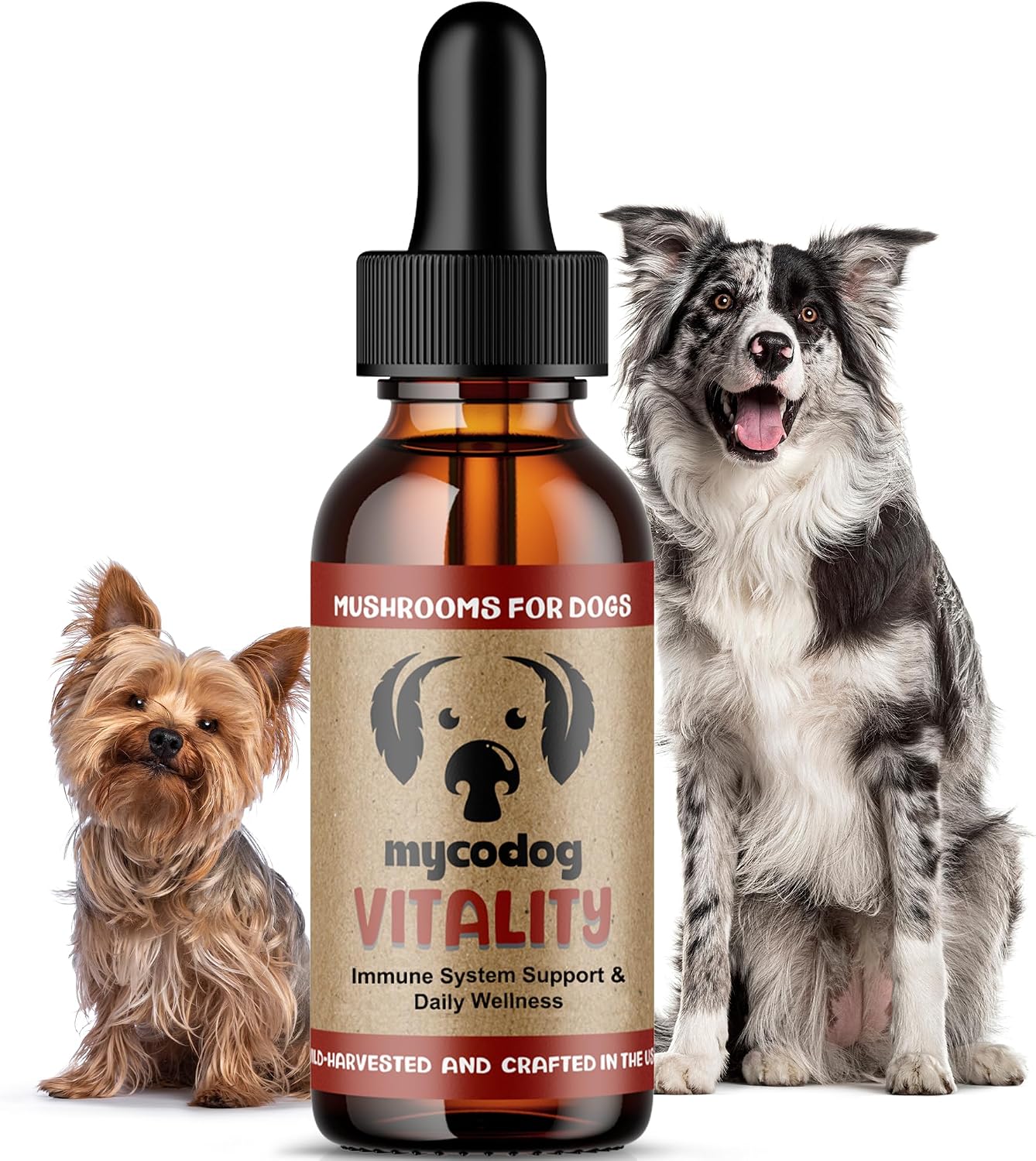 MycoDog Vitality - 20-in-1 Mushroom & Adaptogen Supplement for Dogs - Immune Health, Senior Dogs & Daily Wellness Support - Turkey Tail Mushroom for Dogs, Reishi - görsel 1